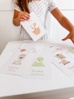 Desert Animal Flashcards for Toddlers | Wildlife Learning Cards