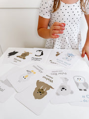 Arctic Animals Flashcards for Toddlers & Preschoolers