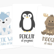 Arctic Animals Flashcards for Toddlers & Preschoolers