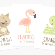 Desert Animal Flashcards for Toddlers | Wildlife Learning Cards